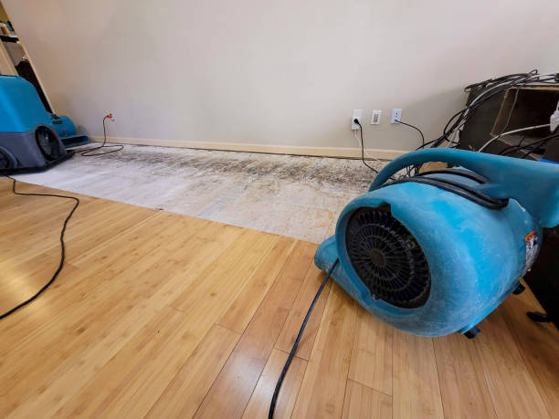 Reliable Emergency Water Removal contractor in Fellows, CA by Hirex Water Damage