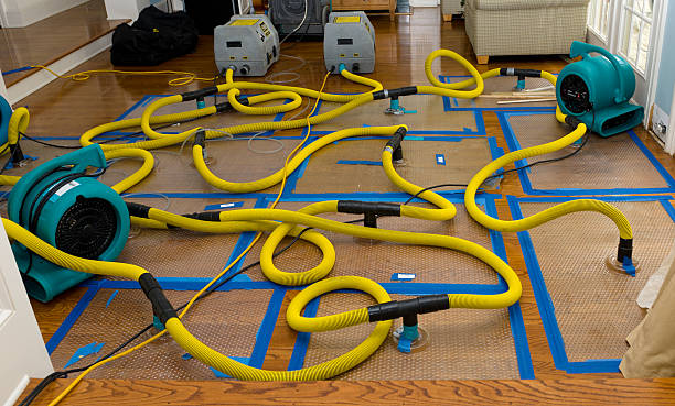 Professional Emergency Water Removal technician working in Fellows, CA